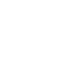 AN-Y1