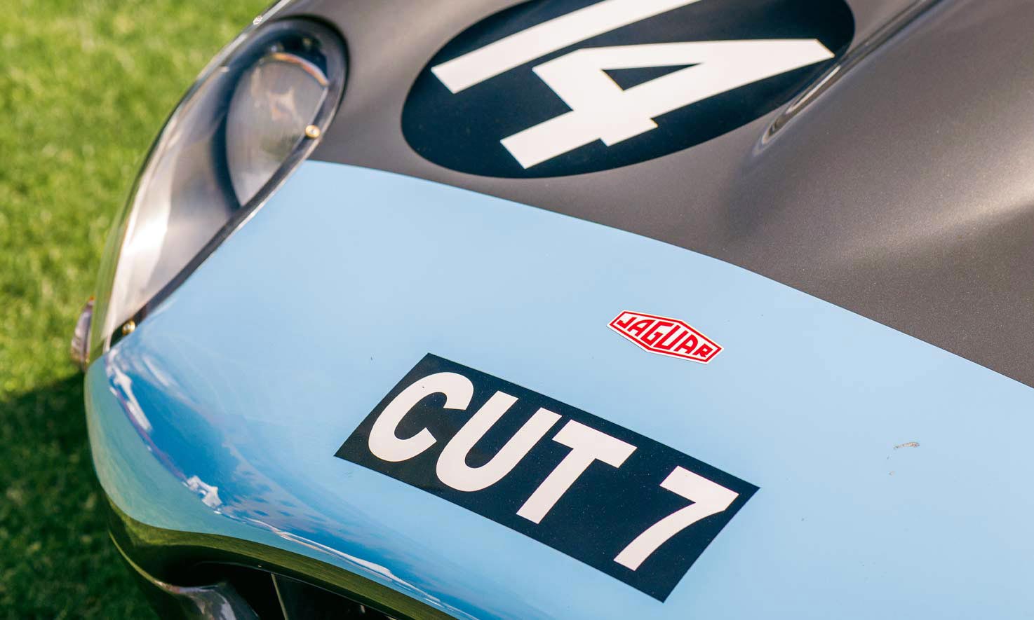 Jaguar Cut 7
