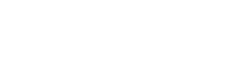Pioneer Prestige